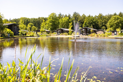 Chalet moderni accanto a un lago con fontana, circondati da verde e alberi in una giornata di sole.