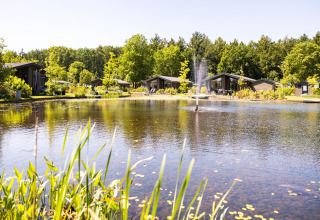 Moderne chalet ved en idyllisk sø med springvand, omgivet af grønne træer og frodig natur på en solskinsdag.