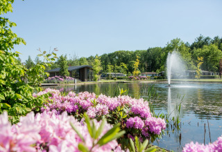 View of a peaceful chalet by a pond with a fountain, blooming bushes, and lush green forest in the background.