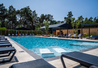Piscina al aire libre con tumbonas en un chalet, rodeada de árboles y alojamientos modernos al fondo.