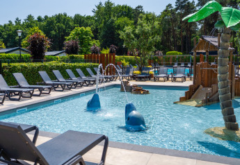 Piscina all'aperto in uno chalet con lettini, area giochi per bambini, fontane a delfino e palme finte.