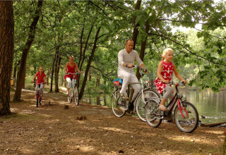 En familie cykler langs en skovsti ved søen på Forest Park 't Wolfsven 9 i Holland om sommeren.