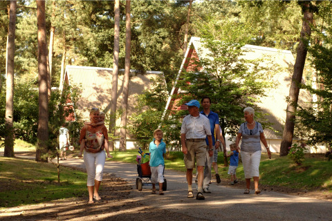Una familia pasea por un sendero frente a cabañas entre árboles, disfrutando de un día al aire libre.