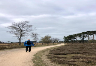 Persona che cammina su un sentiero sabbioso vicino a un alloggio glamping, sotto un cielo nuvoloso.