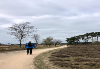 Person wandert auf einem sandigen Weg bei bewölktem Himmel in der Nähe einer Glamping-Unterkunft im Grünen.