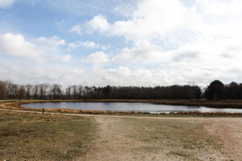 Udsigt over en lille sø omgivet af træer og en sti ved et glamping-område under en skyet himmel.