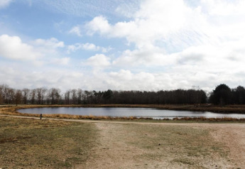 Udsigt over en lille sø omgivet af træer og en sti ved et glamping-område under en skyet himmel.
