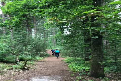Due persone vanno in bicicletta su un sentiero nel bosco vicino a una struttura di glamping.