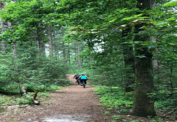 Deux personnes font du vélo sur un sentier forestier, entourés d’arbres, près d’un logement glamping.
