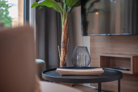 Moderne stue i et tiny house i Forest Park 't Wolfsven 21, Holland, med bord, plante og TV.