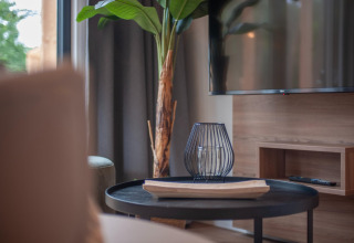 Moderne stue i et tiny house i Forest Park 't Wolfsven 21, Holland, med bord, plante og TV.