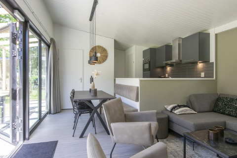Modern lodge interior at Forest Park 't Wolfsven 16, Netherlands, with open kitchen, dining, and lounge.