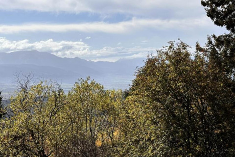 Aussicht auf Bäume und Berge, aufgenommen im Forest Park 't Wolfsven 16, unter blauem Himmel.