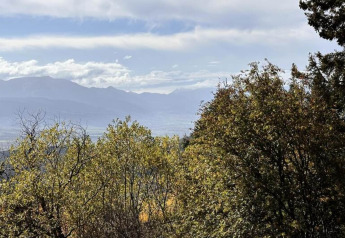 Udsigt over trætoppe og bjerge taget fra Forest Park 't Wolfsven 16, med blå himmel og lette skyer.