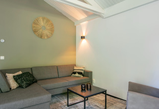 Soggiorno moderno nello chalet Forest Park 't Wolfsven 15, Paesi Bassi, con divano grigio e decorazione.