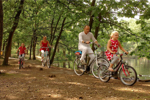 Famiglia in bicicletta su un sentiero boscoso vicino al lago al Forest Park 't Wolfsven 15 nei Paesi Bassi.