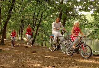 Familie fährt im Waldpark 't Wolfsven 15 in den Niederlanden Fahrrad am See entlang durch den Wald.