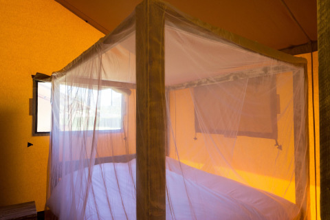 Interior de la tienda safari Forest Park 't Wolfsven 14 en Países Bajos, con una cama y mosquitera blanca.