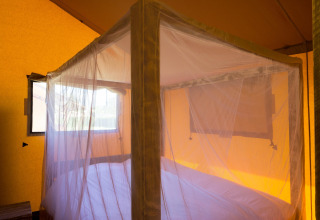 Interior de la tienda safari Forest Park 't Wolfsven 14 en Países Bajos, con una cama y mosquitera blanca.