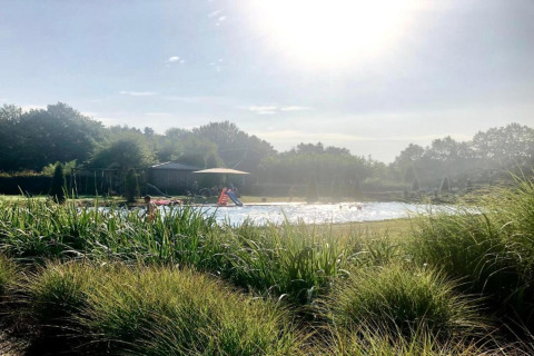 Solrig dag ved naturpoolen på Holiday Park Klein Vink 20, omgivet af grønne planter og træer.