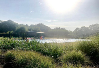 Sonniger Tag am Naturpool im Holiday Park Klein Vink 20, umgeben von grünen Pflanzen und Bäumen.