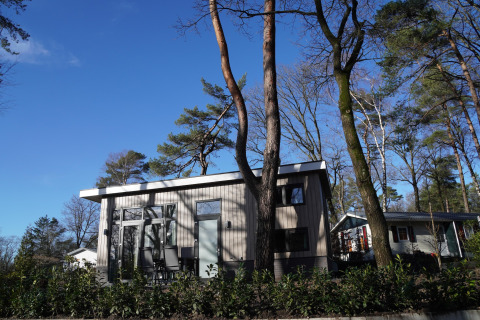 Modern tiny house at Holiday Park De Rimboe & De Woeste Hoogte 41, surrounded by trees and clear sky