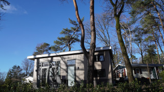 Casa pequeña moderna en Holiday Park De Rimboe & De Woeste Hoogte 41, rodeada de árboles y cielo azul