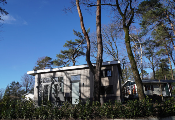 Modernes Tiny House im Holiday Park De Rimboe & De Woeste Hoogte 41, umgeben von Bäumen und Natur