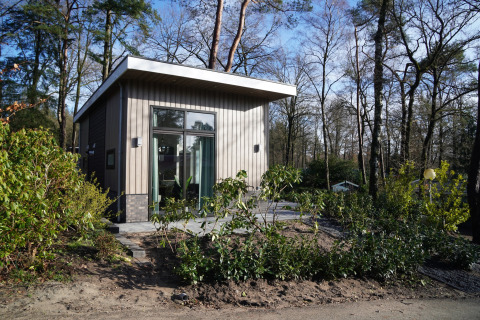 Modernes Tiny House im Holiday Park De Rimboe & De Woeste Hoogte, umgeben von Wald in den Niederlanden.