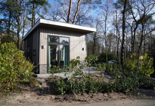 Modern tiny house at Holiday Park De Rimboe & De Woeste Hoogte, surrounded by forest in the Netherlands.