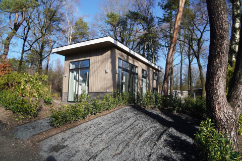 Tiny house moderna al Holiday Park De Rimboe & De Woeste Hoogte, immersa tra gli alberi nei Paesi Bassi.