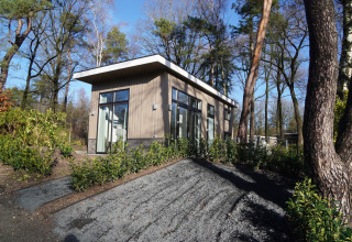 Modern tiny house in Holiday Park De Rimboe & De Woeste Hoogte 41, omgeven door bos in Nederland.