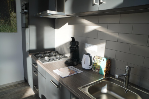 Petite cuisine moderne avec placards gris, gazinière, bouilloire et évier dans une tiny house aux Pays-Bas.