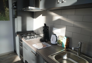 Petite cuisine moderne avec placards gris, gazinière, bouilloire et évier dans une tiny house aux Pays-Bas.