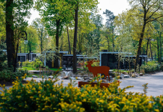 Vue sur Holiday Park De Rimboe & De Woeste Hoogte 41 aux Pays-Bas avec petites maisons et arbres verts.