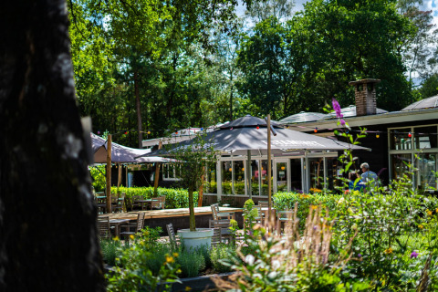 Outdoor seating with tables, umbrellas, and lush greenery at a glamping resort on a bright sunny day.