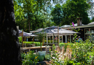 Area esterna con tavoli, ombrelloni e verde presso un alloggio glamping in una giornata soleggiata.