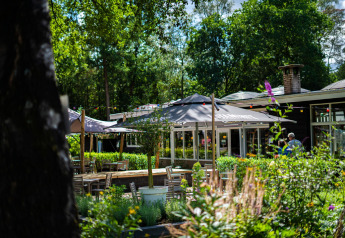 Espace extérieur avec tables, parasols et verdure dans un hébergement glamping lors d’une journée ensoleillée.