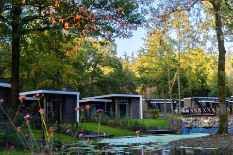 Tiny house moderne nel Holiday Park De Rimboe & De Woeste Hoogte, Paesi Bassi, circondate da natura e stagno.