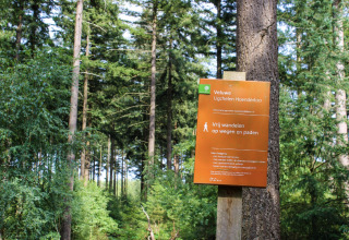 Cartello per Veluwe Ugchelen Hoenderloo in una foresta vicino a Holiday Park De Rimboe & De Woeste Hoogte 41, Paesi Bassi.