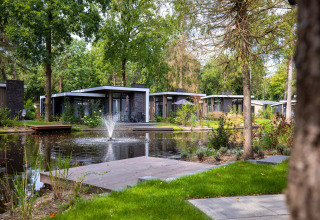 Hébergements glamping modernes au bord d’un étang avec fontaine entourés d’arbres et de verdure l’été.