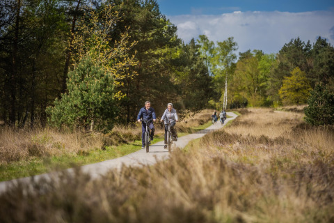 Twee mensen fietsen op een pad door de natuur bij een glamping accommodatie, omgeven door bomen en gras.