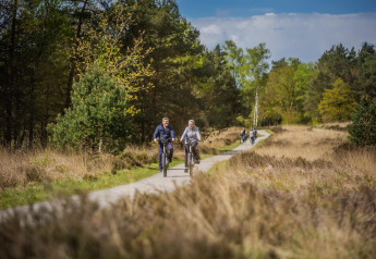 Two people are cycling along a scenic path near a glamping site, surrounded by trees and grassy fields.
