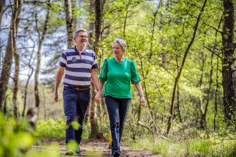 Couple âgé marchant main dans la main sur un sentier forestier, profitant de la nature en glamping.