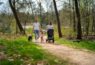 Une famille se promène avec une poussette, un ballon et un chien dans les bois près du Holiday Park De Rimboe & De Woeste Hoogte 41.