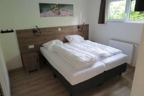 Chambre avec deux lits simples, draps blancs, sol en bois, fenêtre et tableau de papillon au mur.