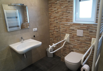 Accessible bathroom with support bars, sink, toilet, and window at Holiday Park De Rimboe in the Netherlands.
