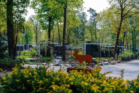 Udsigt over ferieparken De Rimboe & De Woeste Hoogte med moderne hytter i en frodig, grøn skov i Holland.
