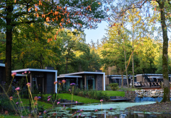 Modern lodges by a pond surrounded by lush forest at Holiday Park De Rimboe & De Woeste Hoogte in the Netherlands.