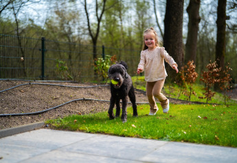 A child playing outdoors with a black dog holding a ball at Holiday Park De Rimboe & De Woeste Hoogte 25 in the Netherlands.